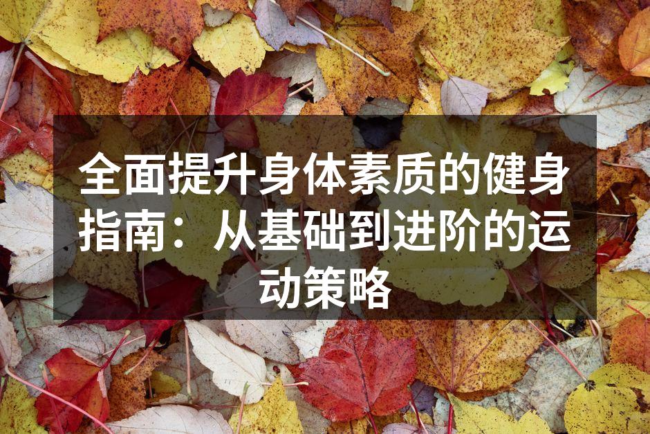 基础健身器材一览