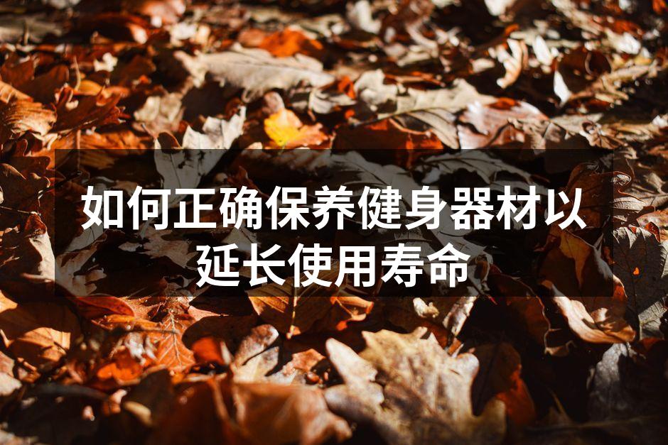 定期清洁器材，保持卫生与安全